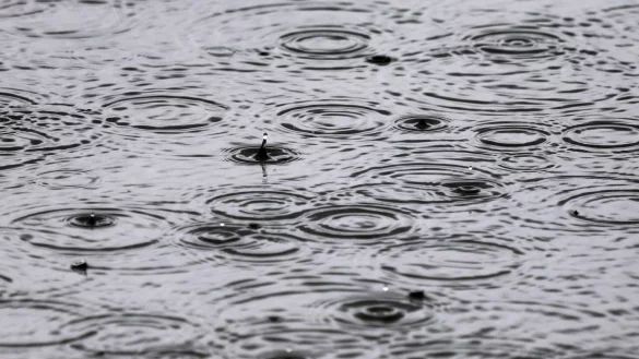 Mancherorts soll so viel Regen fallen wie sonst in einem Monat. (Archivbild) - &copy; Karl-Josef Hildenbrand/dpa