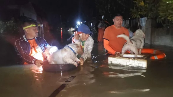 Zun&auml;chst hatte der Super-Taifun &laquo;Ragasa&raquo; auf den Philippinen gew&uuml;tet, nun ist &laquo;Bualoi&raquo; auf Land getroffen. - &copy; Uncredited/Philippine Coast Guard/AP/dpa