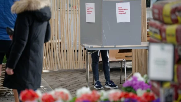Ein Wahllokal in Köln war im Gewächshaus eines Gartenbaubetriebs eingerichtet. - © Henning Kaiser/dpa
