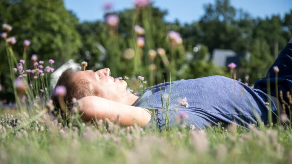 Es könnte so schön sein - würden im Gras nicht die lästigen Zecken lauern. - © Christin Klose/dpa-tmn