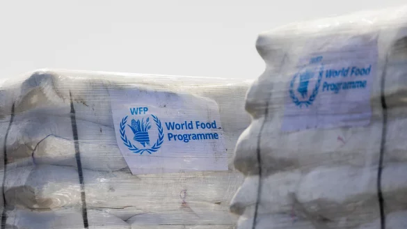 Laut dem UN-Welternährungsprogramm sind lebenswichtige Nahrungsmittel im Gazastreifen inzwischen knapp. (Archivbild) - © Christoph Soeder/dpa-Pool/dpa