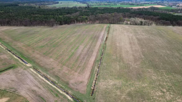Mitte April und vertrocknetes Gras - Blick auf eine Wiese im Landkreis Oberhavel in Brandenburg (Aufnahme mit einer Drohne). (Archivbild) - © Soeren Stache/dpa