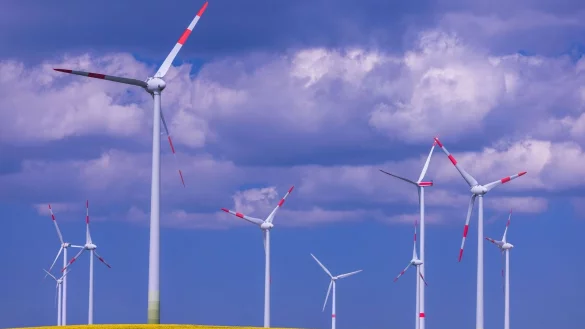 Die Grünen fürchten, dass die neue Regierung beim Ausbau der Erneuerbaren zögert. (Illustration) - © Jens Büttner/dpa