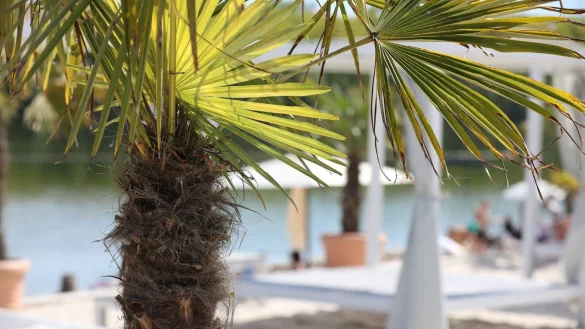 Bei dem warmen Wetter locken Seen. (Archivbild) - &copy; Sascha Thelen/dpa