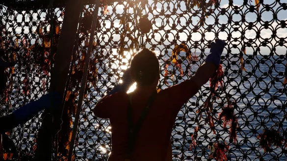 Ein Fischer an Bord eines Trawlers an der Grenze der französisch-britischen Gewässer. (Archivbild) - © Nicolas Garriga/AP/dpa