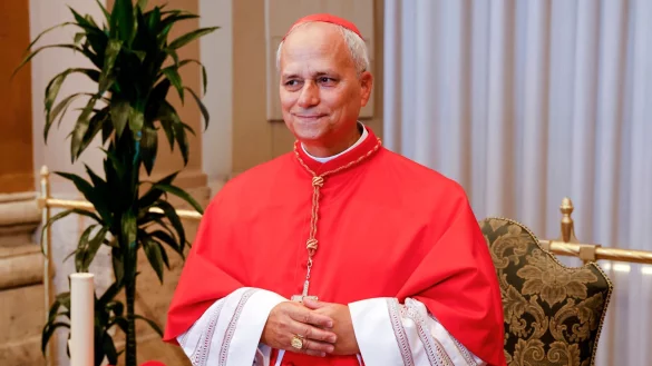 Seit 2023 war Prevost Leiter des mächtigen Dikasteriums für die Bischöfe – jener Vatikanbehörde, die weltweit Bischöfe auswählt. Nun ist er Papst. (Archivbild) - © Riccardo De Luca/AP/dpa