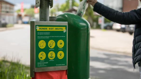 Ab in die Tonne: Haustiere können unterschiedlichste Parasiten ausscheiden - und damit Menschen und andere Tiere gefährden. - © Christin Klose/dpa-tmn
