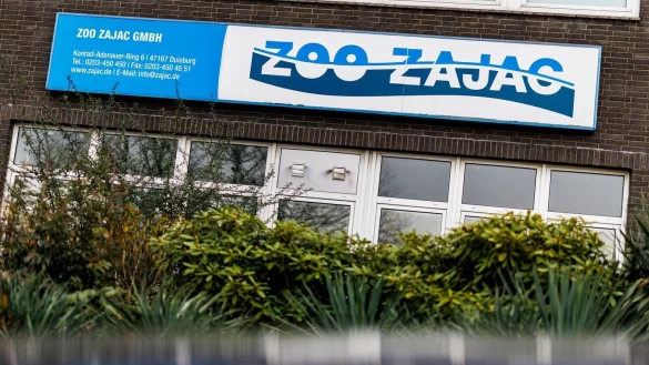 In gro&szlig;en Hallen im Duisburger Norden bietet Zoo Zajac tausende Tierarten zum Verkauf an. - &copy; Christoph Reichwein/dpa