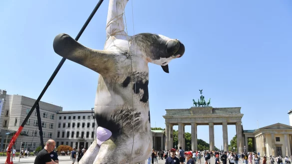 Die Attrappe ist etwa 4 Meter groß. - © Paul Zinken/dpa