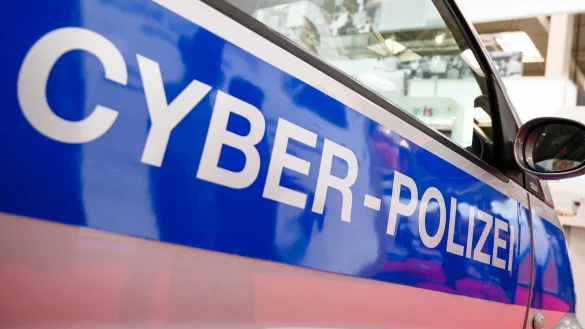 Wie der Tatverdächtige den Cybercrime-Ermittlern in die Maschen ging, wird aus ermittlungstaktischen Gründen nicht bekannt gegeben. (Symbolbild) - © Christophe Gateau/dpa