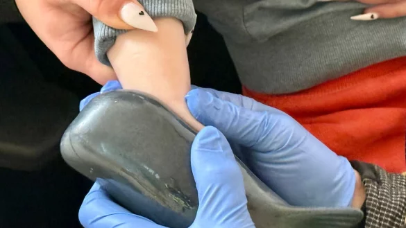 Der Retter in der Not war dem Kleinen sehr bekannt. - &copy; Freiwillige Feuerwehr H&uuml;nxe