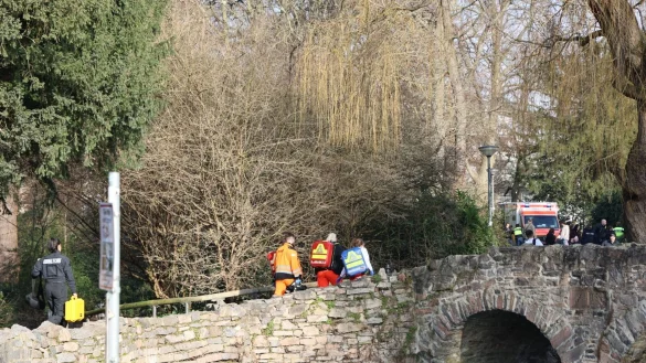 Die Menschen wurden im Park Schöntal angegriffen. - © Ralf Hettler/dpa
