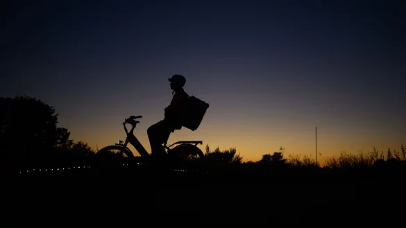 Laut einer Umfrage sind immer mehr Menschen in Deutschland mit einem Elektrofahrrad unterwegs. (Symbolbild) - © Robert Michael/dpa