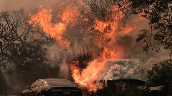 Das «Palisades Fire» wütet inmitten starker Winde. - © Damian Dovarganes/AP/dpa