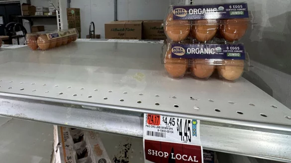 In den USA sind die Eier knapp - das f&uuml;hrt zu h&ouml;heren Preisen. (Archivbild) - &copy; Robert F. Bukaty/AP/dpa