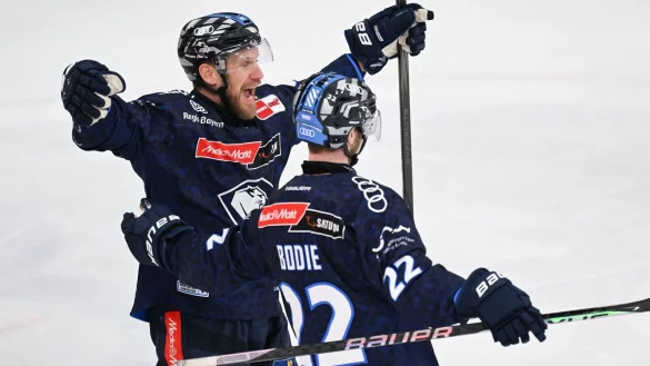Der ERC Ingolstadt überzeugt im ersten Playoff-Halbfinale gegen die Kölner Haie. - © Sven Hoppe/dpa