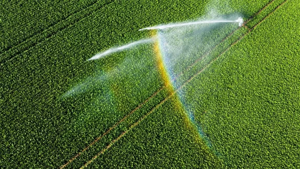 Nicht einmal fünf Prozent der landwirtschaftlichen Fläche kann bewässert werden. - © Julian Stratenschulte/dpa