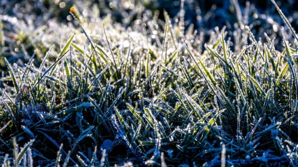 Noch ist es frostig, doch es nähert sich eine Warmfront. - © Jens Büttner/dpa