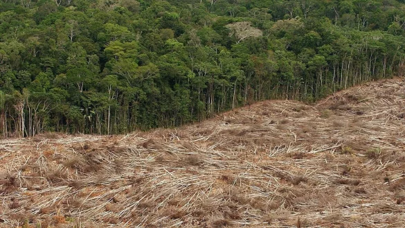 Abholzung des Regenwalds im Amazonasgebiet in Brasilien. - &copy; Marcelo Sayao/epa efe/dpa