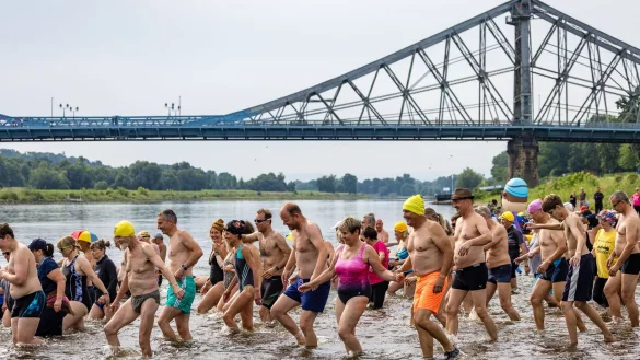 Hunderten Menschen machen beim Elbeschwimmen mit. - © Frank Hammerschmidt/dpa