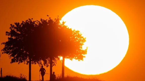 Hitze in Deutschland: Tage mit extremer Belastung werden häufiger. - © Julian Stratenschulte/dpa