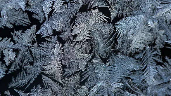 H&auml;ufig sehen Eisblumen wie Farnbl&auml;tter aus. (Archivbild) - &copy; Patrick Pleul/dpa-Zentralbild/dpa