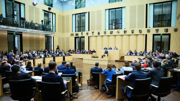 Kommunale Altschulden, Abschuss von Wölfen, K.-o.-Tropfen - damit beschäftigt sich die Länderkammer. - © Bernd von Jutrczenka/dpa