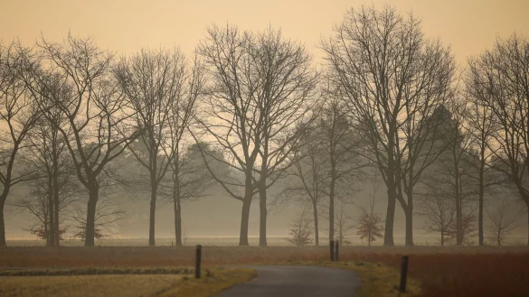 Sahara-Staub kommt auch in Deutschland an. (Archivbild) - &copy; Christoph Reichwein/dpa