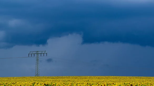 Es wird am Mittwoch wieder nass. - &copy; Patrick Pleul/dpa