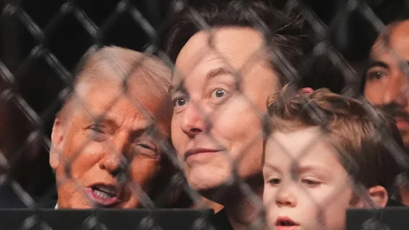 Trump, Musk mit 4 Jahre altem Sohn bei Kampfsport-Spektakel - &copy; Lynne Sladky/AP/dpa