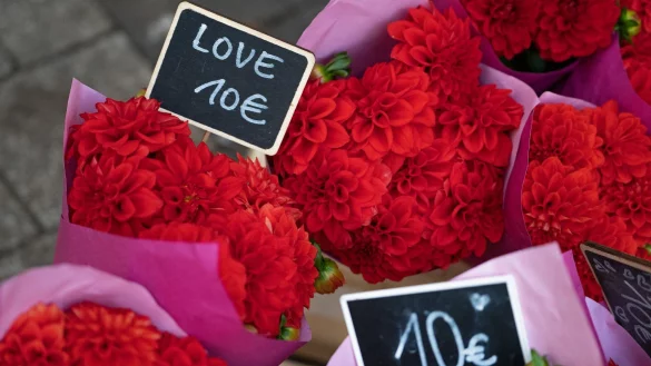 Blumen und Pralinen - typische Geschenke zum Valentinstag sind in diesem Jahr teuer als noch 2024 - © Helena Dolderer/dpa