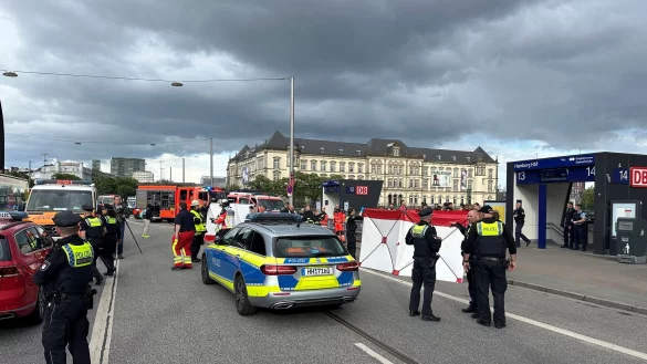 Eine Tatverdächtige ist festgenommen worden. - © Steven Hutchings/dpa