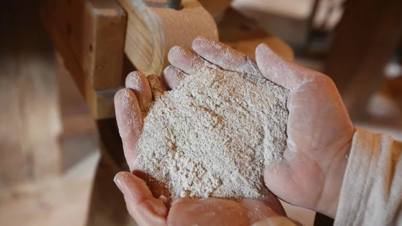 Vollkornmehl enthält mehr Mineralstoffe als Weizenmehl. - © Bodo Marks/dpa/dpa-tmn