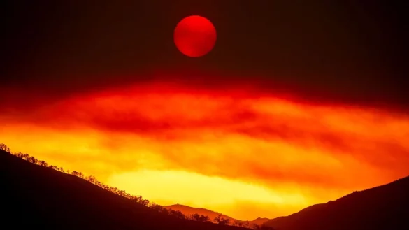 Das sogenannte «Gifford Fire» wütet im Los Padres National Forest, einem Waldgebiet nördlich von Santa Barbara. - © Noah Berger/AP/dpa