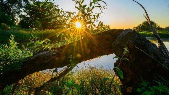 Die Sonne zeigt sich am Wochenende nicht so h&auml;ufig. (Symbolbild) - &copy; Patrick Pleul/dpa