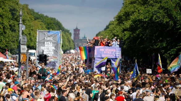 Die Veranstalter rechneten im Vorhinein mit mehreren Hunderttausend Teilnehmern. - &copy; Carsten Koall/dpa
