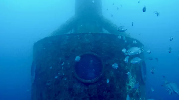 Koch drehte auch Videos von Fischen aus seiner Kapsel. - &copy; ---/Ocean Builders/dpa