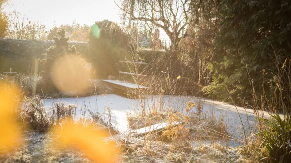Wer der Tristesse im Garten trotzen will, kann Winterblüher platzieren, um farbliche Akzente zu setzen. - © Christin Klose/dpa-tmn