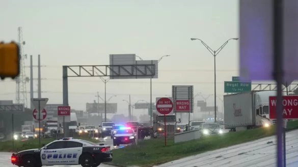 Es fielen Sch&uuml;sse vor der Einwanderungsbeh&ouml;rde. - &copy; Julio Cortez/AP/dpa