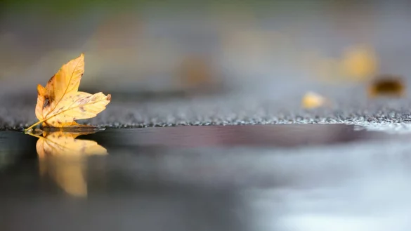 Noch h&auml;lt sich die herbstliche Zweiteilung beim Wetter in Deutschland. (Archivbild) - &copy; Thomas Warnack/dpa