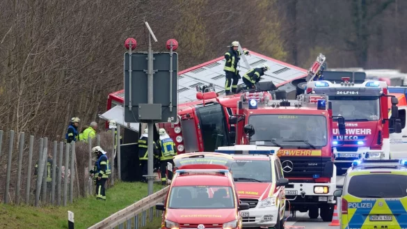 Ein mit Schweinen beladener Tiertransporter ist auf der A2 umgestürzt. - © Bernd Thissen/dpa