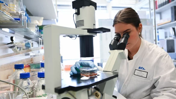 Eine Mitarbeiterin des Deutschen Krebsforschungszentrum bearbeitet in einem Labor unter dem Mikroskop eine Probe. - &copy; Bernd Wei&szlig;brod/dpa