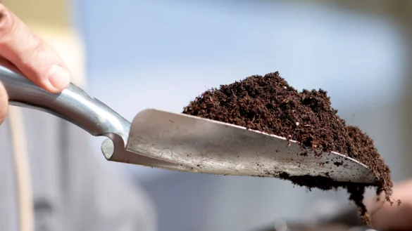 Substrate aus Kokosfasern, Rindenmulch oder Kompost sind eine umweltfreundliche Alternative zu torfhaltiger Erde. - &copy; Andrea Warnecke/dpa-tmn/dpa