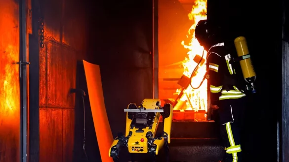 Informatiker wollen Roboter &laquo;Byte&raquo; den Umgang mit Flammen beibringen. - &copy; Frank Molter/dpa