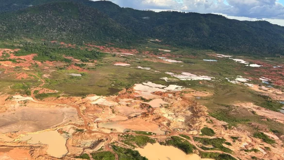 Schlammige Gruben und rostbraune Wasserlöcher durchziehen den Regenwald. - © Philipp Znidar/dpa