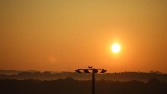Zu Beginn der neuen Woche ist es in Nordrhein-Westfalen weiterhin sonnig. (Symbolbild) - © Sascha Thelen/dpa