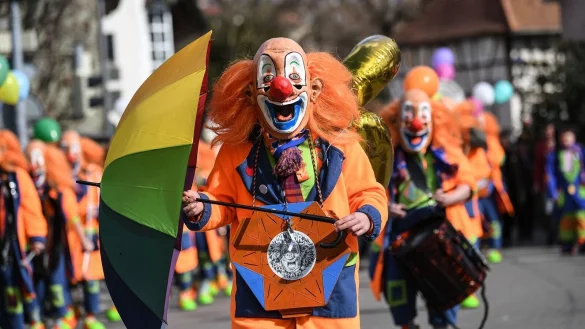 In vielen Städten und Dörfern in Deutschland laufen die Vorbereitungen auf Karnevalsumzüge. (Archivfoto) - © Patrick Seeger/dpa