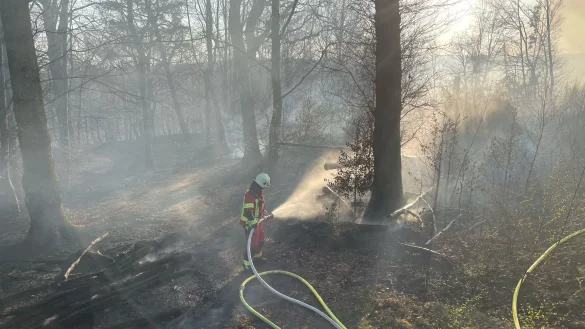 Rund 350 Kr&auml;fte sind bei dem Waldbrand im Einsatz. - &copy; Uncredited/Freiwillige Feuerwehr der Stadt Overath/dpa