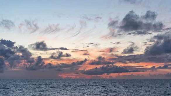 Untersucht wurde eine Region nördlich von Hawaii, die sogenannte Nordpazifische Übergangszone. - © Ryan Tabata/University of Hawaii at Manoa/dpa