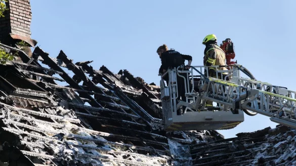 Die Suche gestaltete sich schwierig. - &copy; Marcus Golejewski/dpa
